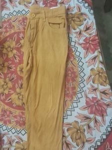 Mustard Casual Pants
