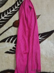 Brand Inspired Stole(Gucci)