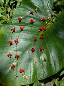 Manjadi seed Anklets