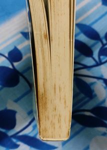 📔📓📕 Raw Guru - Holistic Healing With Raw And Living Foods || Phillip Clegg