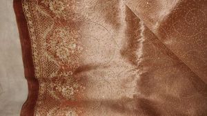 Nude/Golden Organza Saree