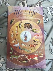 life comes from