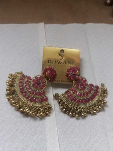 Very Elegant Earrings
