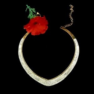 Diamond New Necklace.