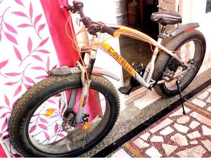 Fat Bicycle