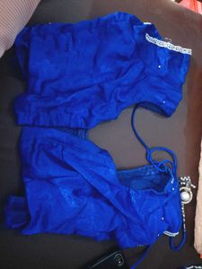 Blue Embellished saree