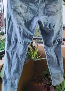 Roadster Jeggings