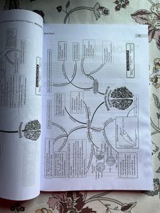 CBSE Class 12 Biology Sample Question Papers