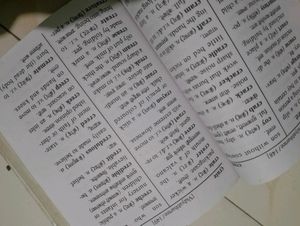 English - Marathi Dictionary , Hindi Grammar Book