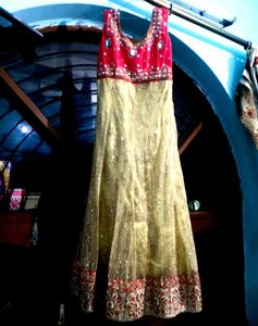 Elegant Ethnic Gown