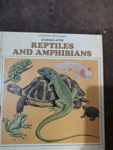combo of three birds, reptiles, insect