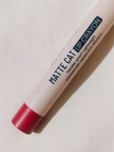 Swiss Beauty Lip Crayon Lipstick ~ 07 Fig Mauve