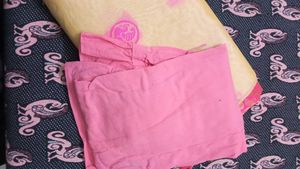 Elegant Pink Saree with matching inskirt