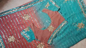 Elegant Embellished Saree