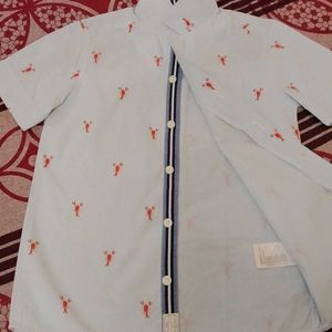 Like A New branded  Sky Blue striped Shirt Boys