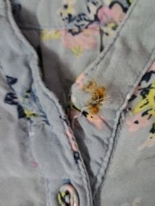 Blue Flower Top