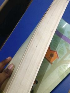 Mathematics &amp; Statistics XII