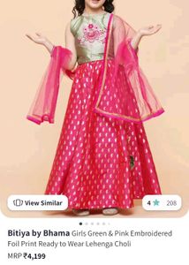 Floral Embroidered Lehenga Choli