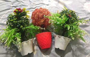3 Combo Set Of Mini Pot With Decorative Plants