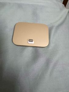 Lightning Dock Charger