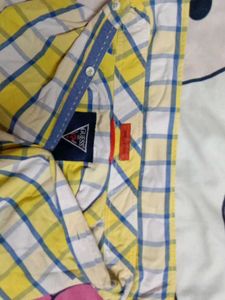 Cotton Shirt