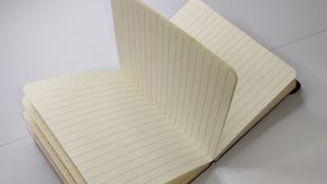Cute And Beautiful Diaries For Gifting Purpose