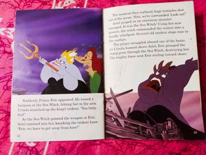 Set Of 2 Disney Princess Books