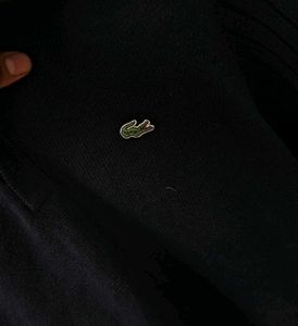 Lacoste Sweater