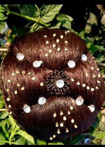 Brown Hair Bun Accessory
