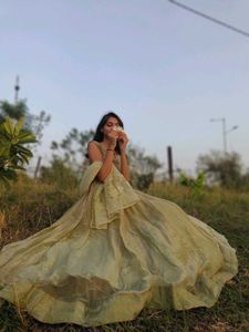Olive Green Anarkali Gown 💫