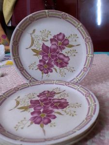Dinnerware Plates (Set of 5)