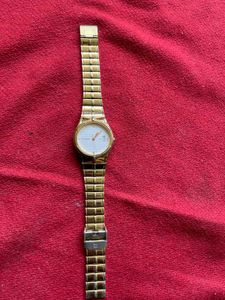 Men's Original Titan God Tone Watch