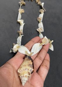 Seashell Jewelry