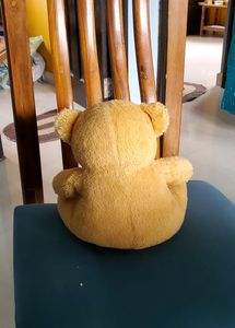 Soft Toys Combo Big And Small Teddy