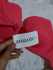 Pritty Bra New With Tag Brand Amante Br