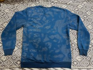 Fearless Future Blue Sweatshirt