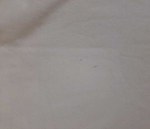 H&amp;M Solid White Cropped Tee