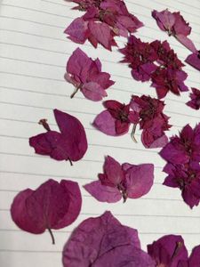 dry flowers for resin art