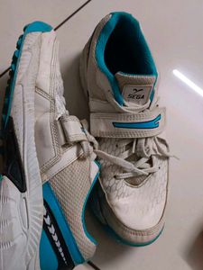 Sega Cricket Stud Shoe For player