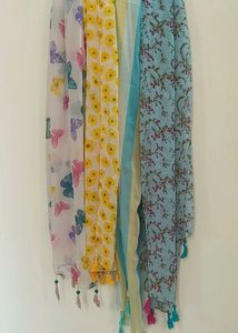 Elegant Printed Dupattas