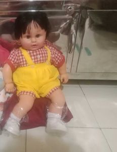 Doll
