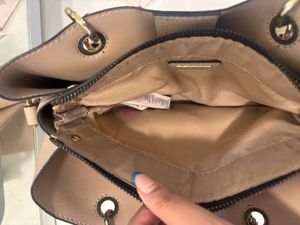 ALDO Handbag