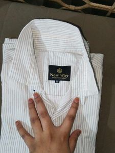 Striped Button-Down Shirt