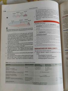 Human Embryology Book