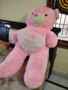 Teddy Bear