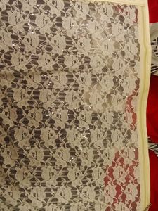 Satin Saree Cover With Net Design