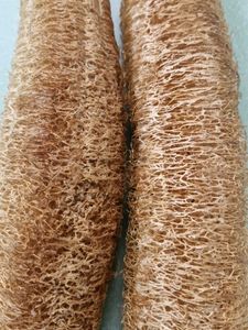 Natural Loofah Sponges (Set of 2)