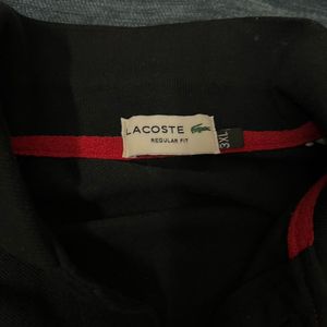 Lacoste Polo Tshirt For Men