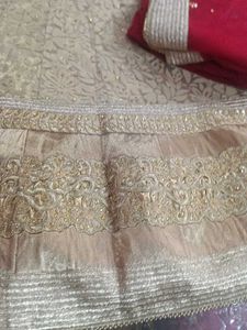 Gold Embroidered Lehenga Choli