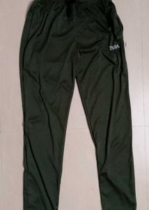 Olive Color Pant
